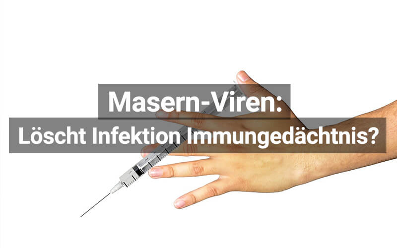 Wie Masern die Erinnerung des Immunsystems löschen