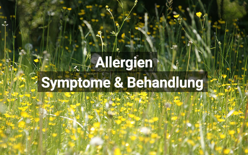 Allergien – Auslöser, Symptome, Behandlung