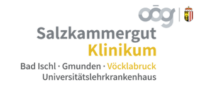 Sk Vb Logo Mit Subline