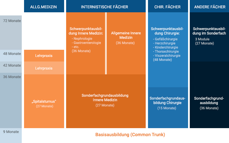 Facharztausbildung Österreich Aufbau