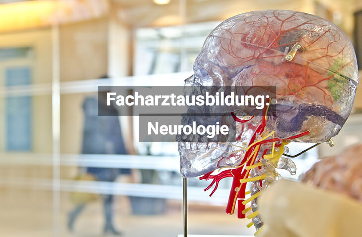 Facharztausbildung Neurologie