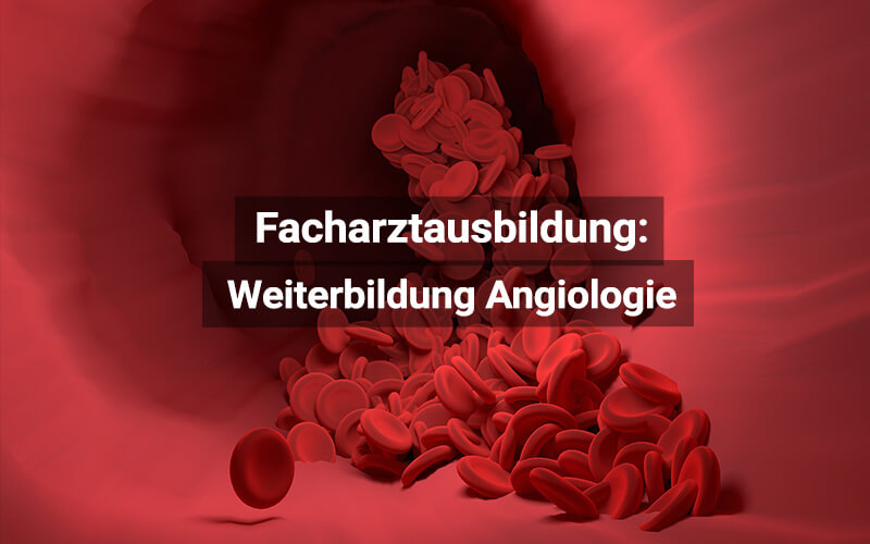 Facharztausbildung Angiologie