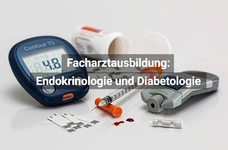 Facharztausbildung Innere Medizin, Endokrinologie Und Diabetologie