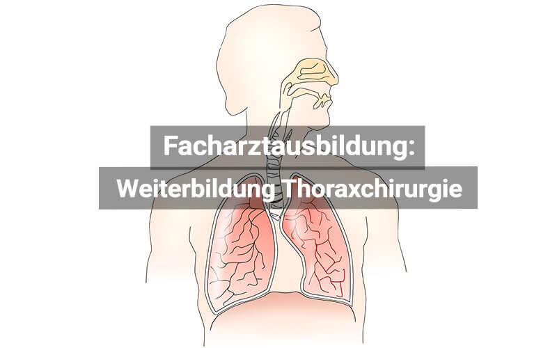 Facharztausbildung Thoraxchirurgie