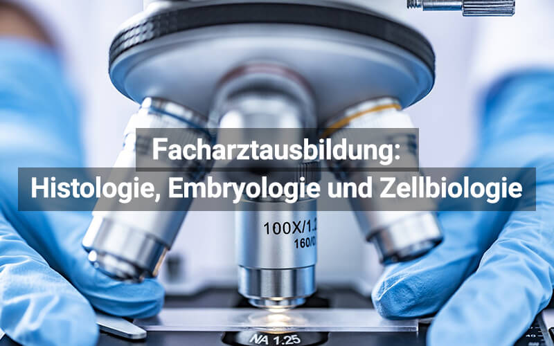 Facharztausbildung Histologie, Embryologie Und Zellbiologie