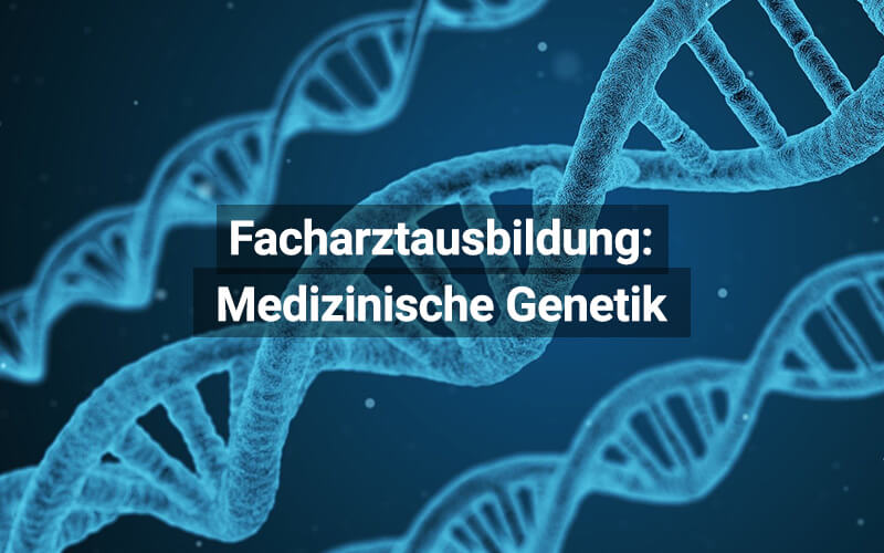 Facharztausbildung Medizinische Genetik