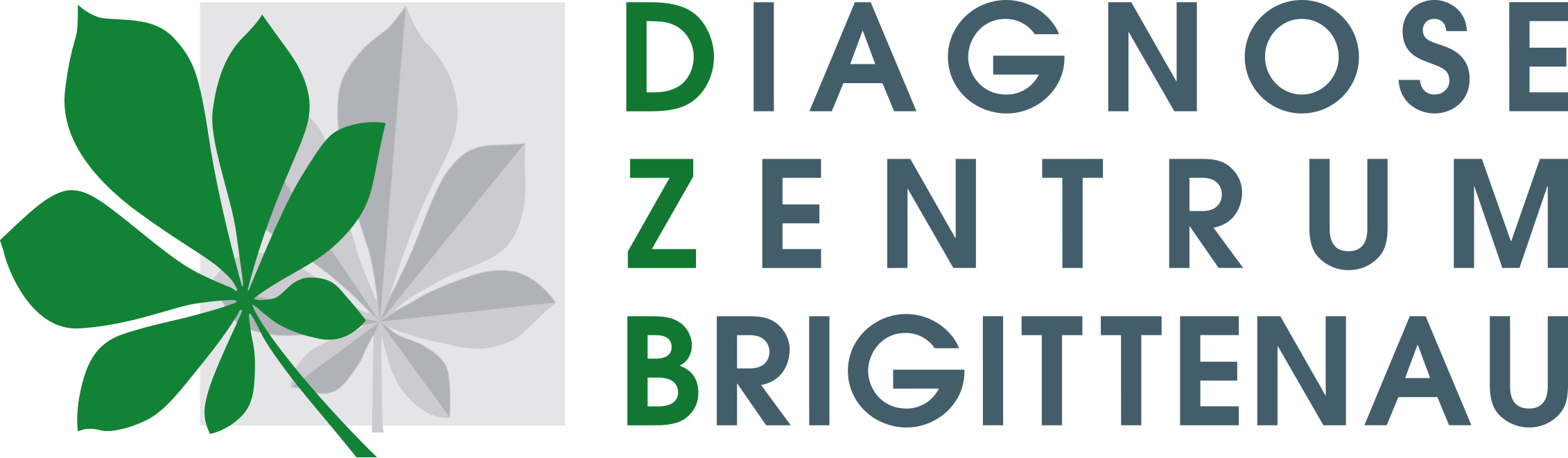 Logo Dzb