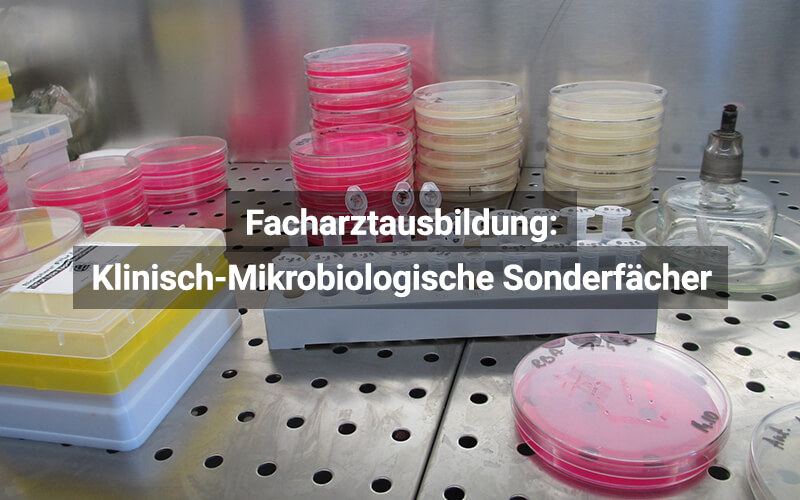 Facharztausbildung Klinisch Mikrobiologische Sonderfächer