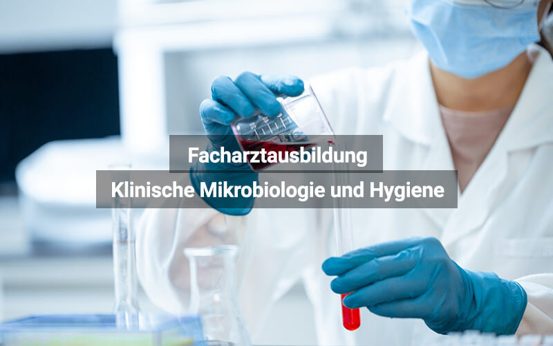 Facharztausbildung Klinische Mikrobiologie Und Hygiene