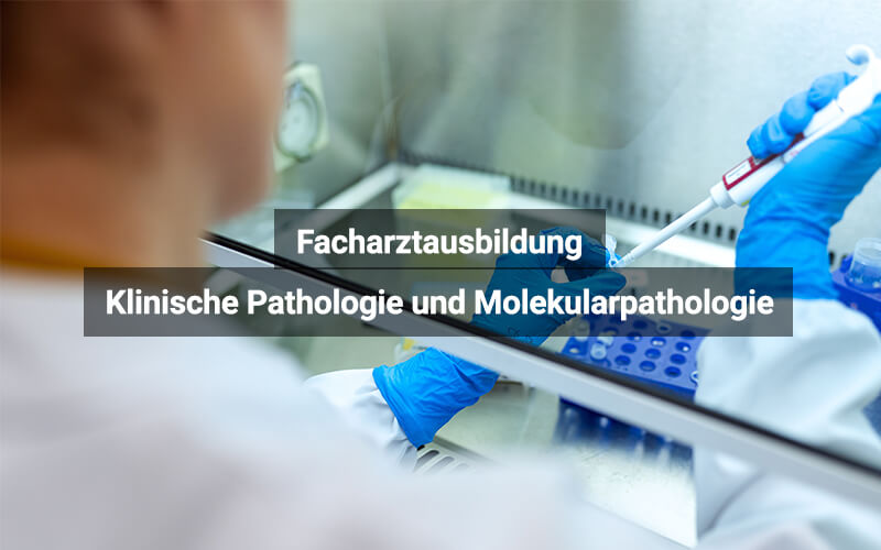 Facharztausbildung Klinische Pathologie und Molekularpathologie