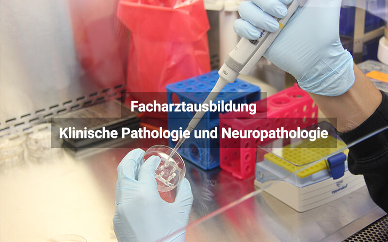 Facharztausbildung Klinische Pathologie und Neuropathologie