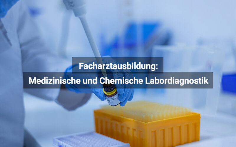 Facharztausbildung Medizinische Und Chemische Labordiagnostik