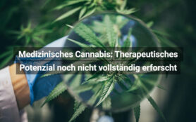 Medizinisches Cannabis Therapeutisches Potenzial Noch Nicht Vollständig Erforscht