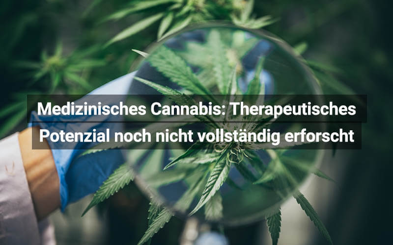 Medizinisches Cannabis: Therapeutisches Potenzial noch nicht vollständig erforscht