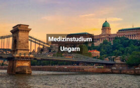 Medizinstudium Ungarn