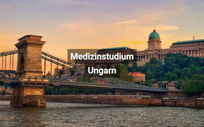 Medizinstudium Ungarn AT