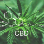 Cbd,Macro,A,Cannabis,Flower,And,Marijuana,Macro CBD-Öl