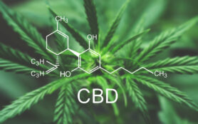 Cbd,Macro,A,Cannabis,Flower,And,Marijuana,Macro CBD-Öl