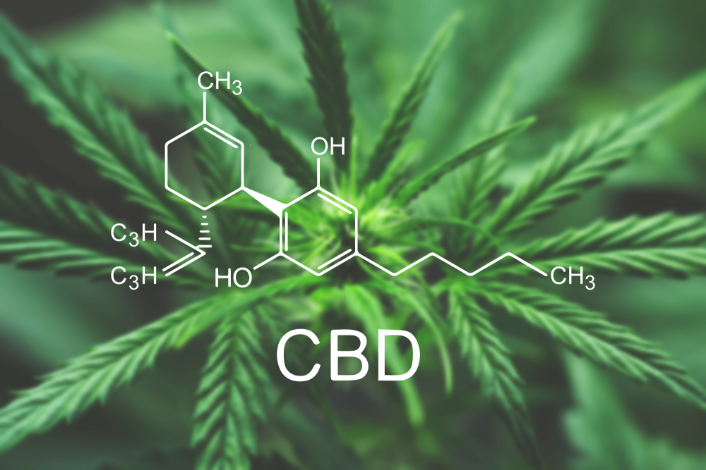 Was ist CBD-Öl und welche Wirkung hat es?