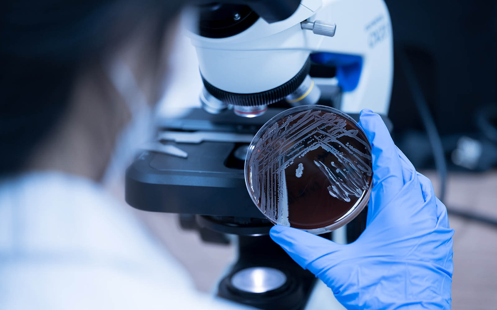 Facharzt Weiterbildung Innere Medizin Und Infektiologie