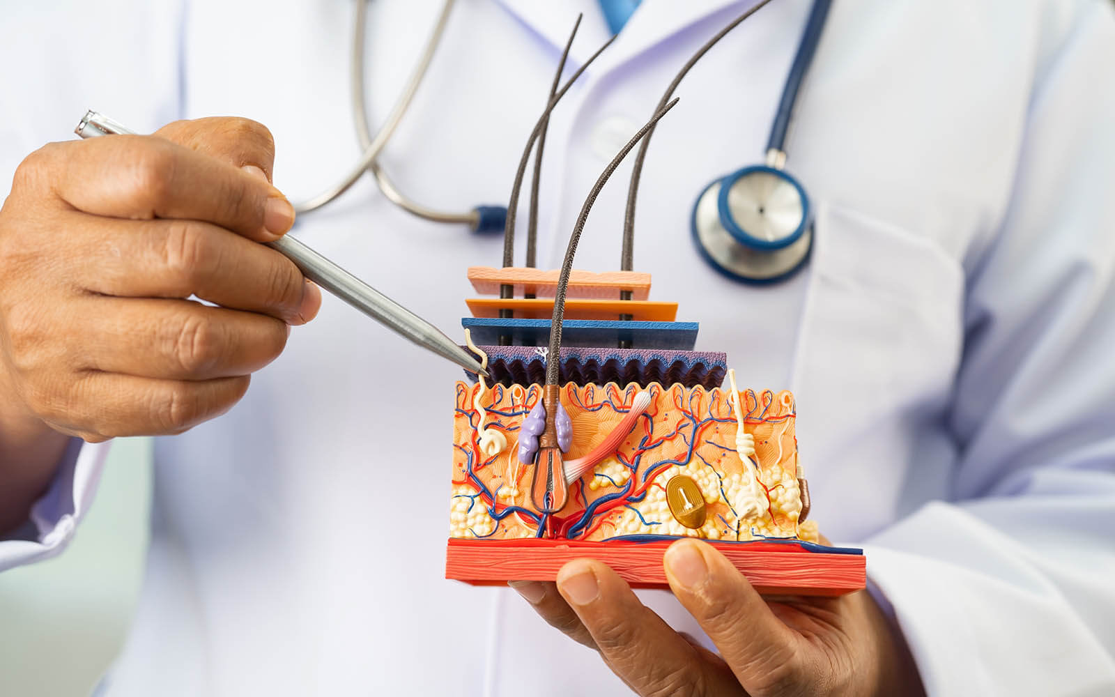 Weiterbildung Facharzt Dermatologie