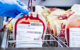 Weiterbildung Facharzt Transfusionsmedizin