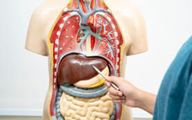 Facharzt Weiterbildung Anatomie